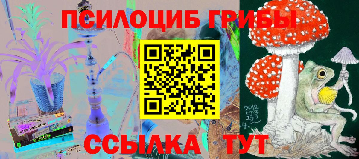 Псилоцибиновые грибы MAGIC MUSHROOMS Абинск