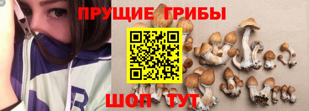Абинск  Псилоцибиновые грибы Magic Shrooms  Вход с VPN  Галлюциногенные грибы MAGIC MUSHROOMS 